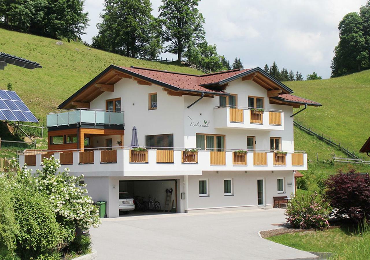 Appartements Naturnah Schladming Exterior photo